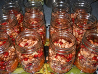 Canning Dried Soaked Beans