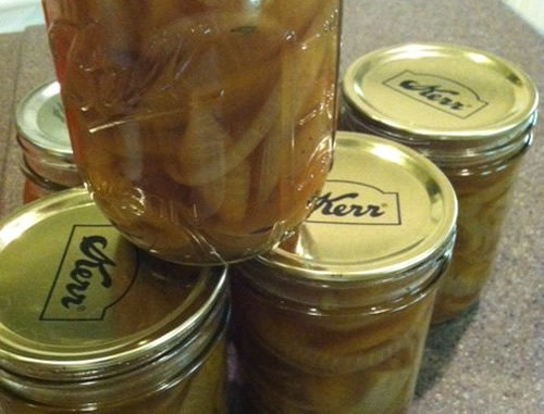 Canning French Onion Soup
