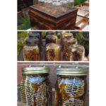 DIY Beehive In A Jar Plans