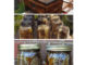 DIY Beehive In A Jar Plans