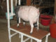 DIY PVC Goat Milking Stand