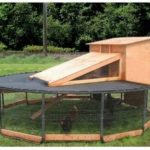 DIY Trampoline Chicken Coop