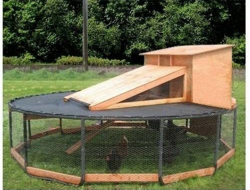 DIY Trampoline Chicken Coop