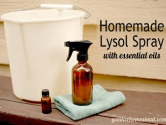 Homemade Lysol Spray
