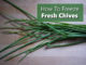 How To Freeze Fresh Chives