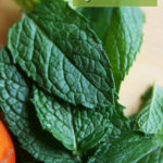 How To Grow Spearmint