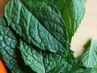 How To Grow Spearmint
