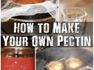 How To Make Your Own Pectin