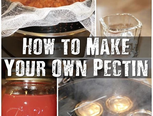 How To Make Your Own Pectin