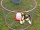DIY Hula Hoop Chicken Tractor