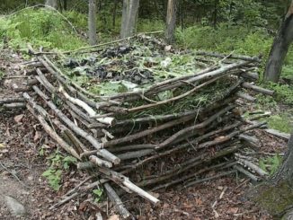 DIY Stick Compost Bin