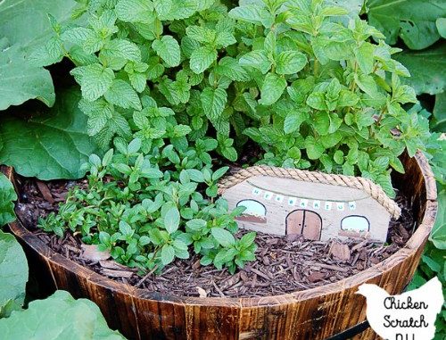 DIY Whiskey Barrrel Mint Garden