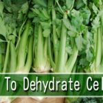 How To Dehydrate Celery