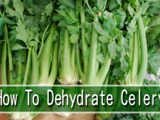 How To Dehydrate Celery
