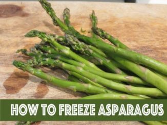 How To Freeze Asparagus