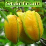 How To Grow Starfruit