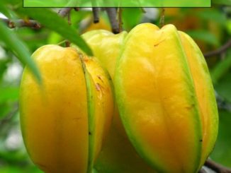 How To Grow Starfruit