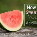 How To Sweeten Your Watermelons