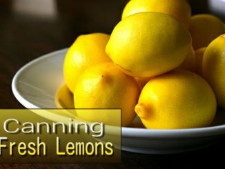 Canning Fresh Lemons
