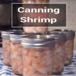 Canning Shrimp