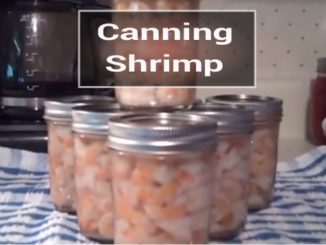 Canning Shrimp