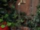 DIY Magic Faucet Fountain