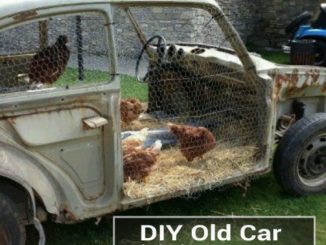 DIY Old Car Chicken Coop