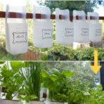 DIY Plastic Milk Bottle Herb Garden