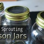 DIY Sprouting Mason Jars