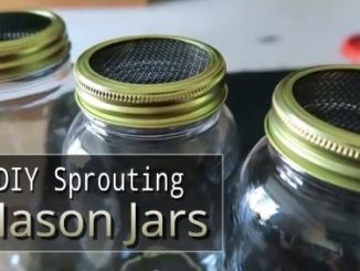 DIY Sprouting Mason Jars