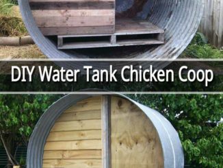 DIY Water Tank Chicken Coop