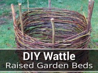 DIY Wattle Raised Garden Beds