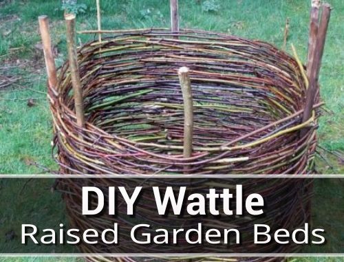 DIY Wattle Raised Garden Beds