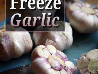 How To Freeze Garlic