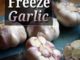 How To Freeze Garlic
