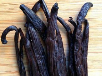 How To Grow Vanilla Beans