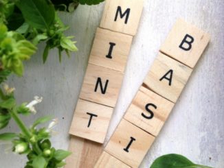 DIY Scrabble Tile Herb Garden Markers
