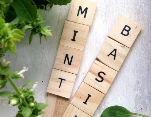 DIY Scrabble Tile Herb Garden Markers