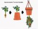 DIY Upside Down Tomato Pots