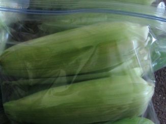 How To Freeze Fresh Corn On The Cob