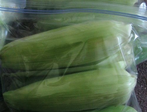 How To Freeze Fresh Corn On The Cob