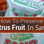 How To Preserve Citrus Fruit In Sand
