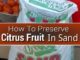 How To Preserve Citrus Fruit In Sand