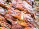 Instant Pot BBQ Ribs Recipe