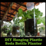 DIY Hanging Plastic Soda Bottle Planter