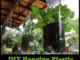 DIY Hanging Plastic Soda Bottle Planter
