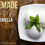 Homemade Goat Milk Mozzarella Recipe