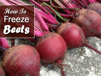 How To Freeze Beets