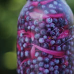 How To Pickle Blueberries