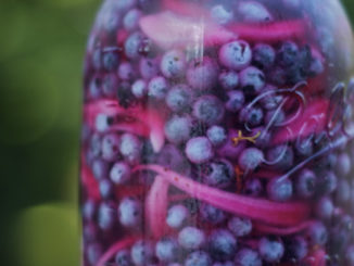 How To Pickle Blueberries